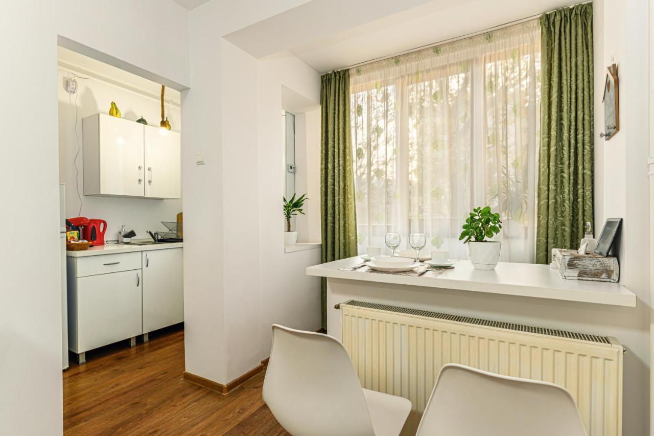 Jad - Family - Apartments & Studios Braşov Exterior foto