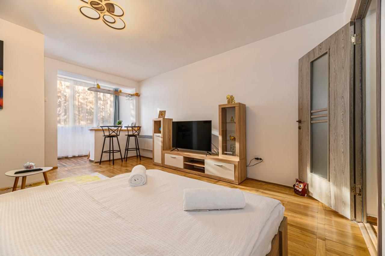 Jad - Family - Apartments & Studios Braşov Exterior foto